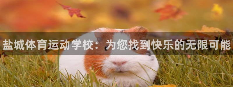 3377体育官方正版app官网：盐城体育运动学校：为