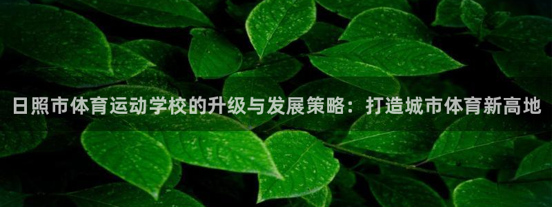 3377体育官网下载招商电话号码是多少啊