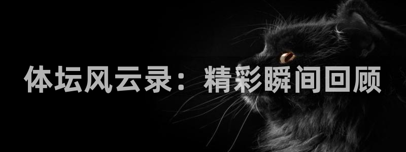 3377体育官网下载招商电话是多少：体坛风云录：精彩
