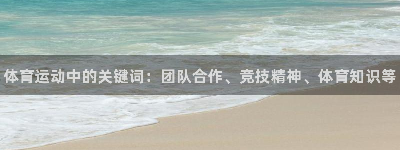 3377体育官网下载平台APP：体育运动中的关键词：