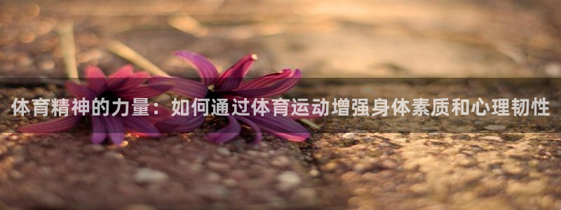 3377体育官方正版app娱乐网站：体育精神的力量：