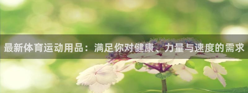 3377体育官方正版app娱乐首页官网下载：最新体育运动用品
