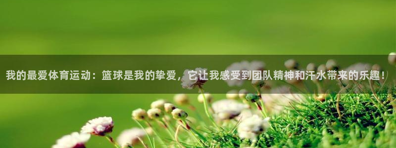 3377体育官网下载注册：我的最爱体育运动：篮球是我