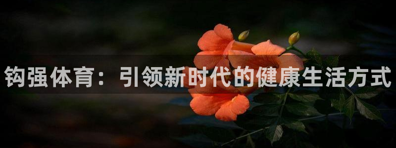 3377体育官网下载招商电话号码是多少