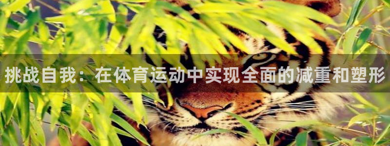德国3377体育官方正版app集团：挑战自我：在体育运动中实