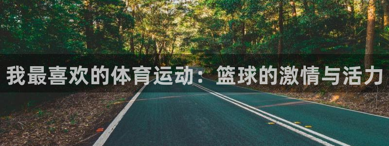 3377体育官方正版app新能源：我最喜欢的体育运动：篮球的