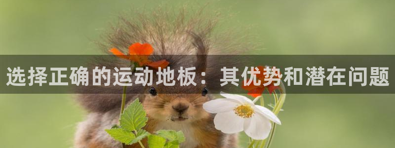 3377体育官方正版app娱乐首页官网下载：选择正确