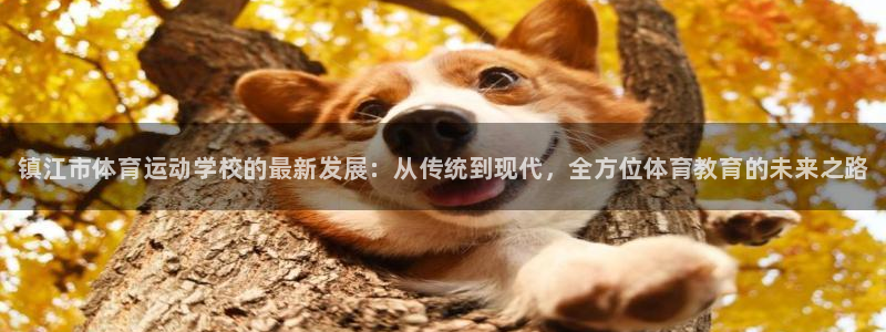 3377体育官网下载招商电话号码是多少啊