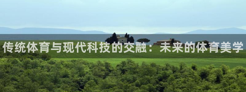 3377体育官方正版app神州