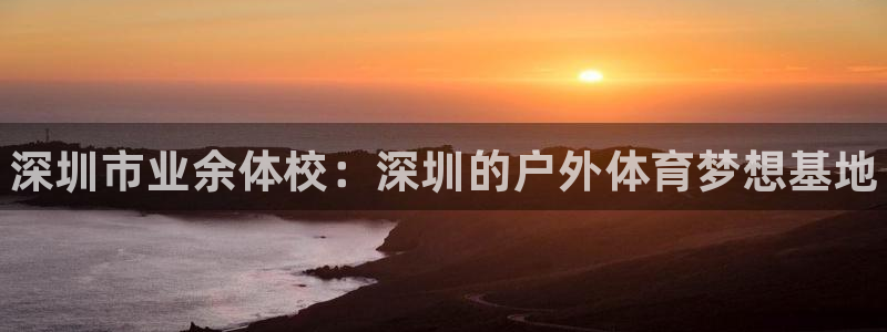 3377体育官网下载平台注册流程图：深圳市业余体校：