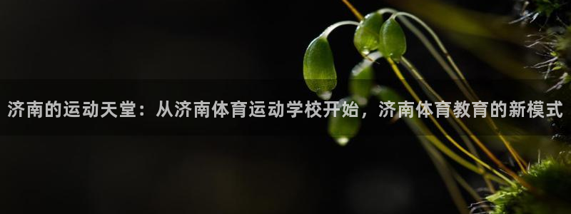 3377体育官网下载平台注册要钱吗：济南的运动天堂：