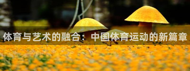 3377体育官方平台体育：体育与艺术的融合：中国体育运动的新