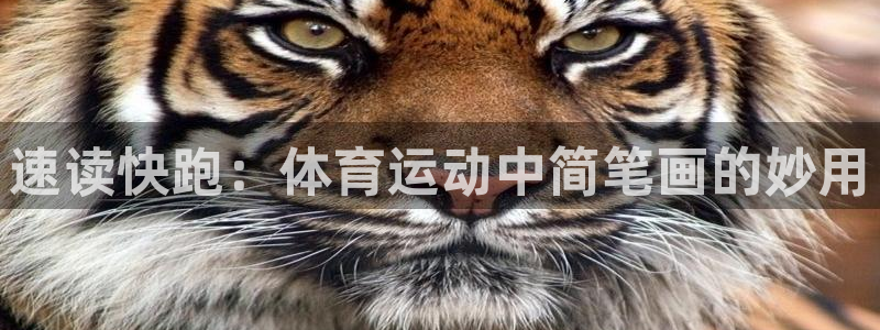 3377体育官方正版app集团官网网址：速读快跑：体育运动中