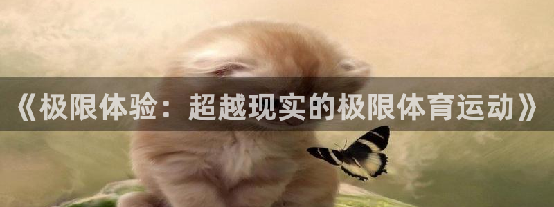 3377体育官方正版app集团官网首页：《极限体验：超越现实