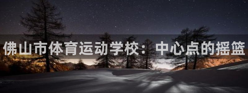 3377体育官方正版app科技：佛山市体育运动学校：中心点的