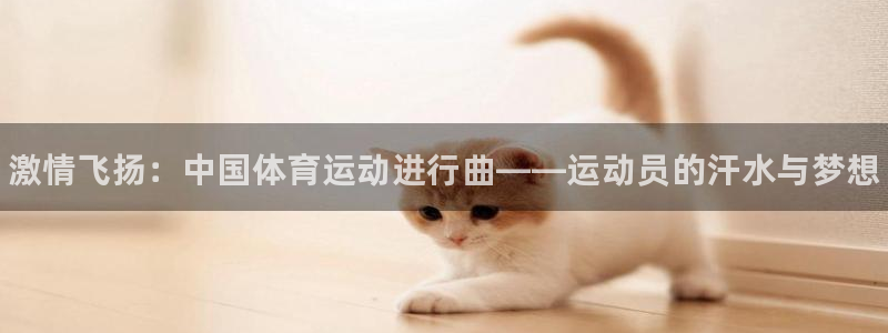 3377体育官方正版app代理：激情飞扬：中国体育运