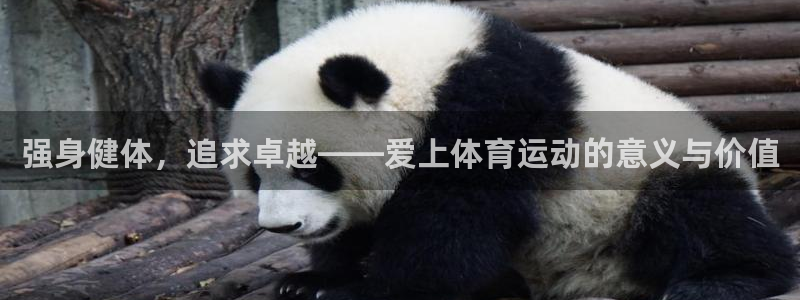 3377体育官方平台体育