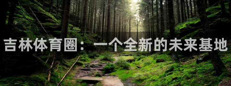 3377体育官方正版app新能源：吉林体育圈：一个全新的未来