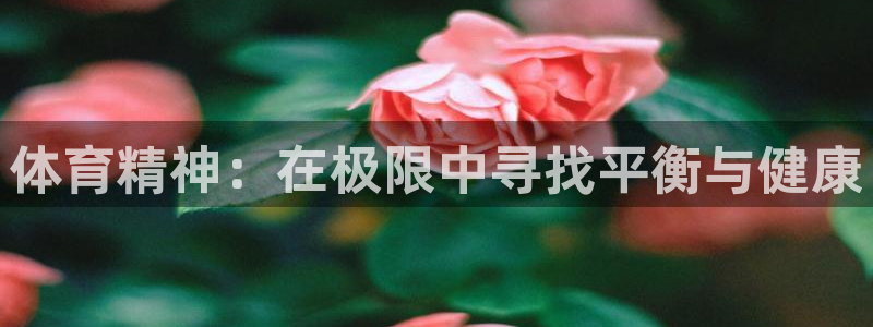 3377体育官方正版app集团E.ON：体育精神：在极限中寻