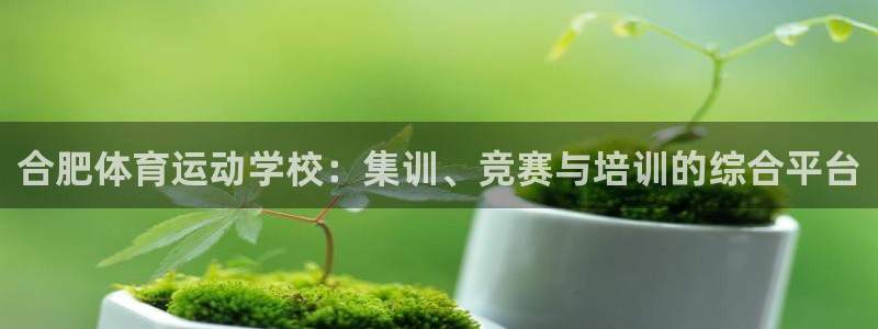 3377体育官方正版app娱乐代理怎么样：合肥体育运动学校：