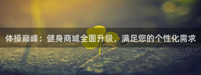 3377体育官网下载平台假的吗是真的吗吗：体操巅峰：健身商城