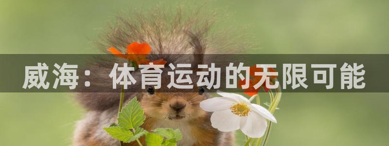 3377体育官网下载招商电话地址查询：威海：体育运动的无限可