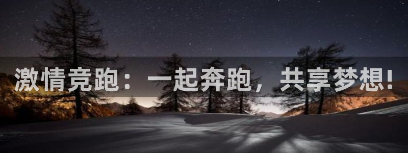 3377体育官网下载平台是正规平台吗安全吗：激情竞跑：一起奔