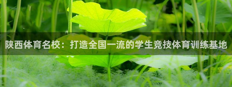 3377体育是诈骗吗：陕西体育名校：
