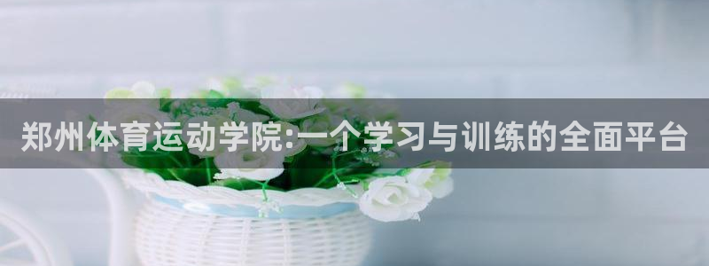  3377体育出款正常不：郑州体育运动学院:一个学习与训练的全