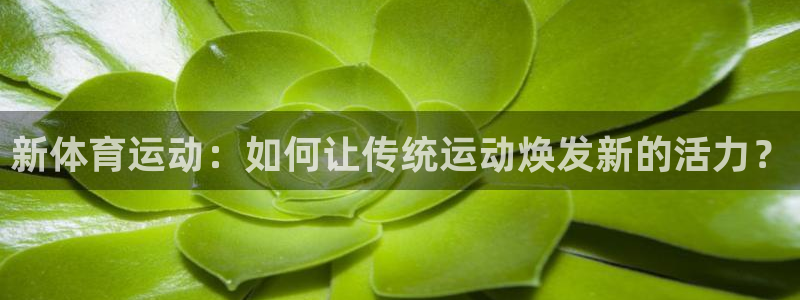 3377体育是干嘛的：新体育运动：如何让传统运动焕发新的活力