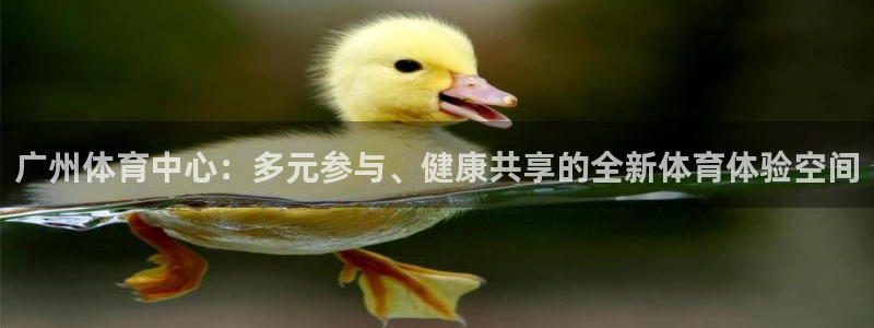 3377体育现在叫什么：广州体育中心：多元参与、健康共享的全