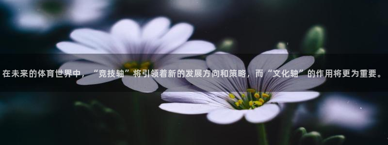 3377体育提款失败的原因分析：在未来的体育世界中，“竞技轴