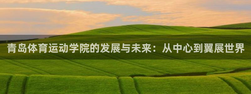  3377体育黑款吗：青岛体育运动学院的发展与未来：从中心到翼