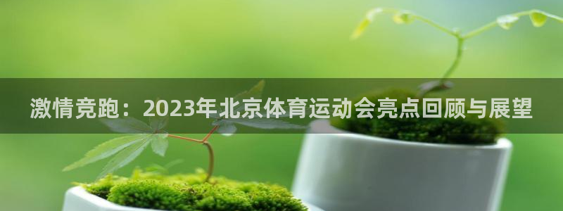 3377体育黑款吗：激情竞跑：202