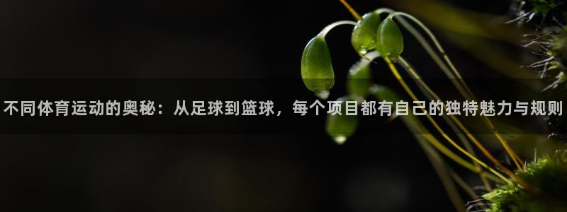 3377体育在线官网：不同体育运动的